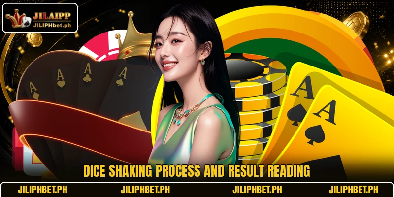Dice shaking process and result reading