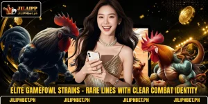 Elite Gamefowl Strains - Rare Lines With Clear Combat Identity