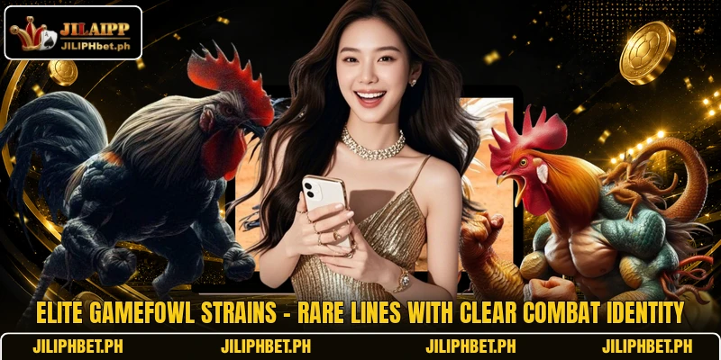Elite Gamefowl Strains - Rare Lines With Clear Combat Identity