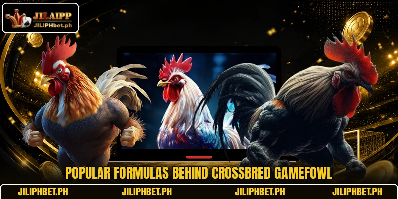 Popular formulas behind crossbred gamefowl