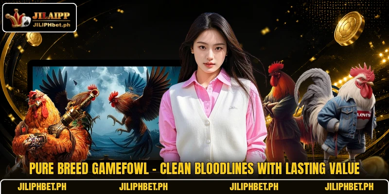 Pure Breed Gamefowl - Clean Bloodlines With Lasting Value