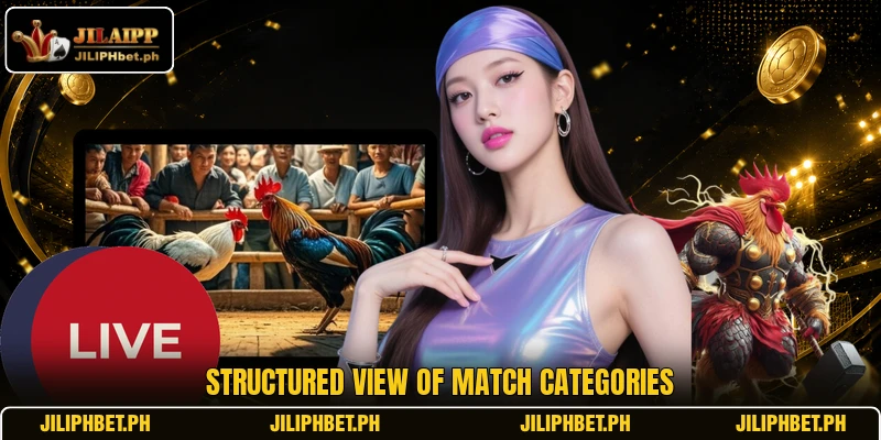 Structured view of match categories